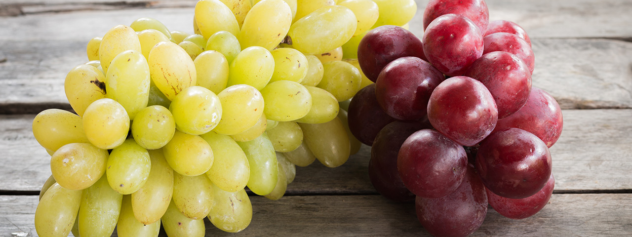 Was du über Weintrauben wissen solltest