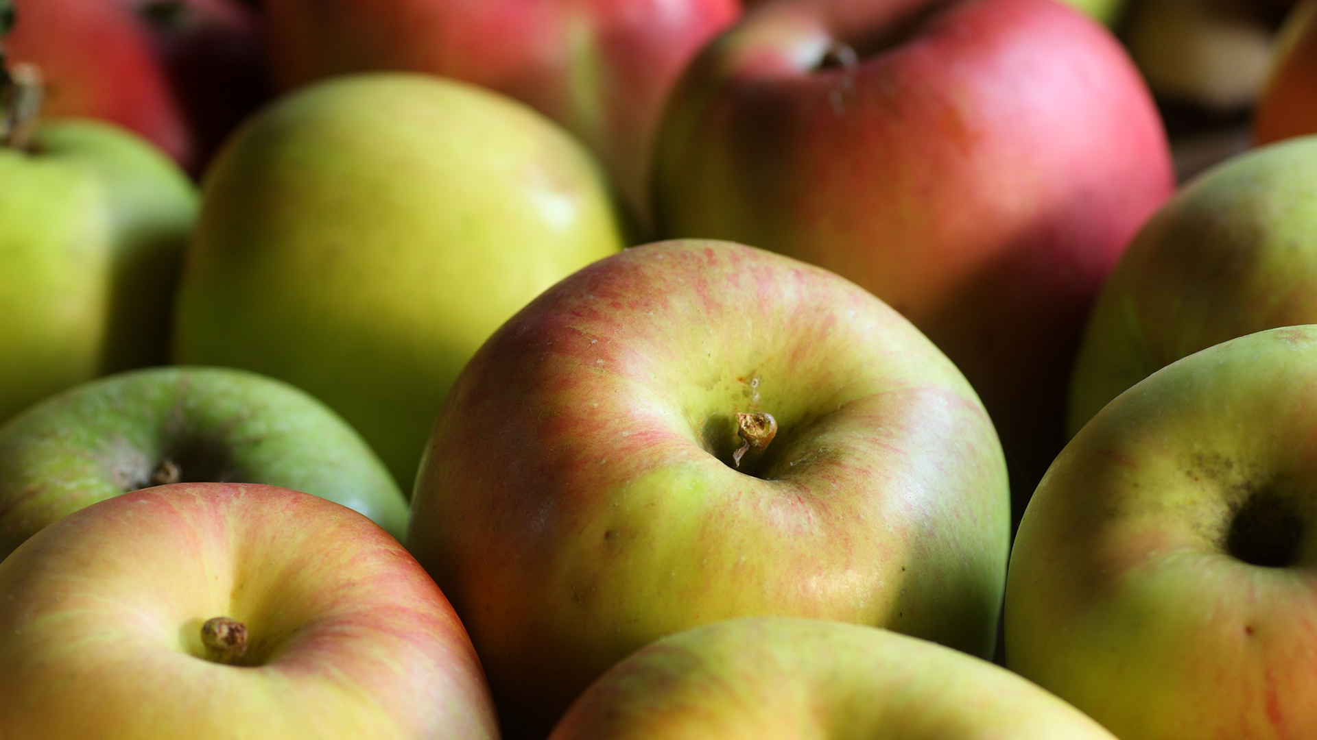 Warum Apfel nicht gleich Apfel ist: Seltene Apfelsorten